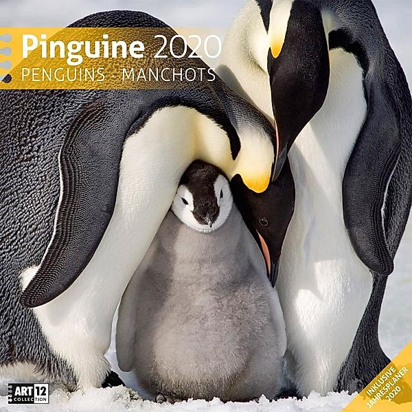 Pinguine 2020