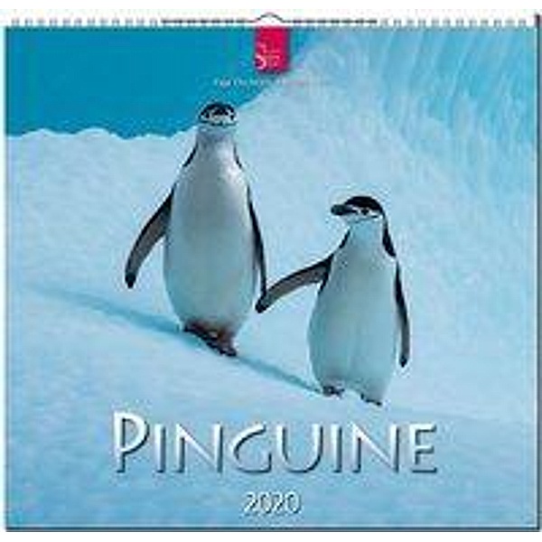 Pinguine 2020