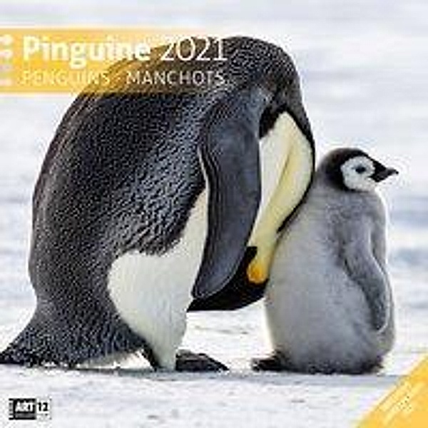 Pinguine 2021