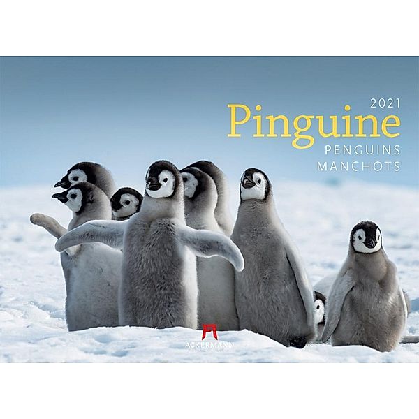 Pinguine 2021