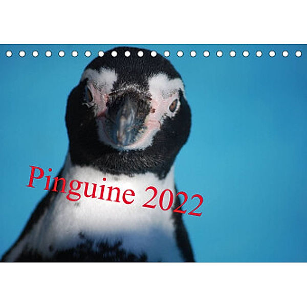 Pinguine 2022 (Tischkalender 2022 DIN A5 quer), Ilka Groos