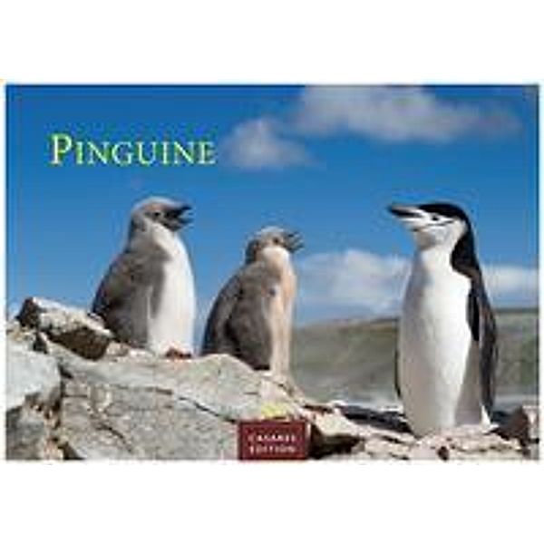 Pinguine 2023 S 24x35cm
