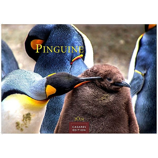 Pinguine 2024 S 24x35cm