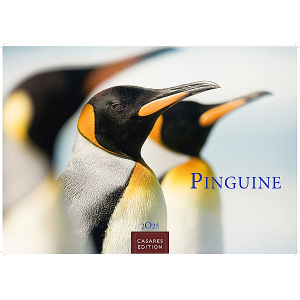 Pinguine 2025 L 35x50cm