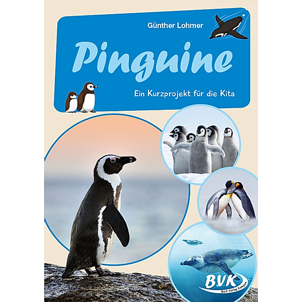 Pinguine, Günther Lohmer