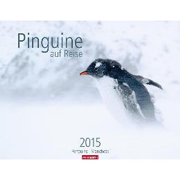 Pinguine auf Reise 2015