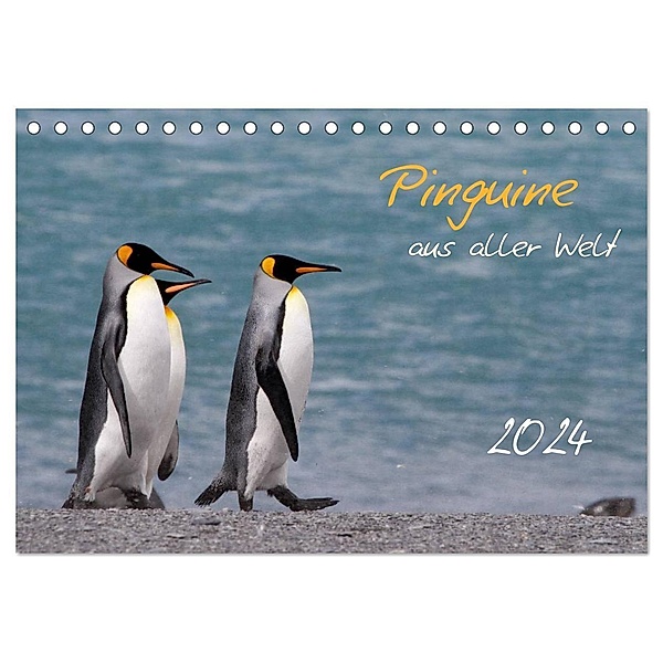 Pinguine aus aller Welt (Tischkalender 2024 DIN A5 quer), CALVENDO Monatskalender, Brigitte Schlögl