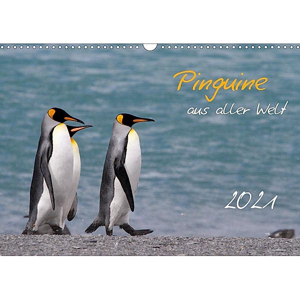 Pinguine aus aller Welt (Wandkalender 2021 DIN A3 quer), Brigitte Schlögl