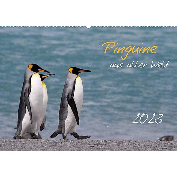 Pinguine aus aller Welt (Wandkalender 2023 DIN A2 quer), Brigitte Schlögl