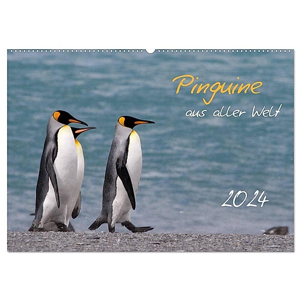 Pinguine aus aller Welt (Wandkalender 2024 DIN A2 quer), CALVENDO Monatskalender, Brigitte Schlögl