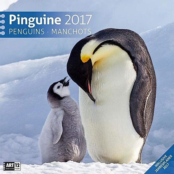 Pinguine, Broschürenkalender 2017