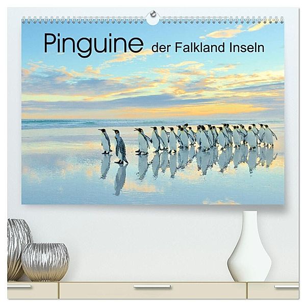 Pinguine der Falkland Inseln (hochwertiger Premium Wandkalender 2024 DIN A2 quer), Kunstdruck in Hochglanz, Elmar Weiß