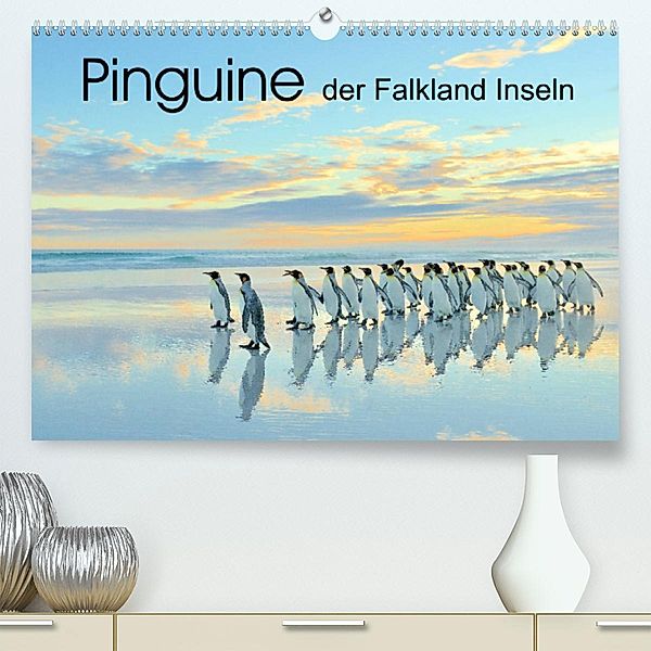 Pinguine der Falkland Inseln (Premium, hochwertiger DIN A2 Wandkalender 2023, Kunstdruck in Hochglanz), Elmar Weiß