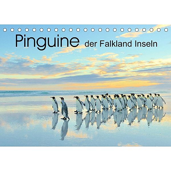 Pinguine der Falkland Inseln (Tischkalender 2023 DIN A5 quer), Elmar Weiß
