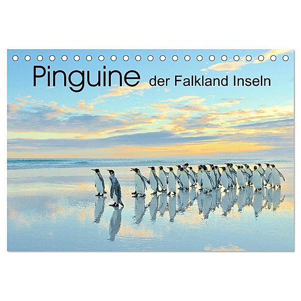 Pinguine der Falkland Inseln (Tischkalender 2024 DIN A5 quer), CALVENDO Monatskalender, Elmar Weiß
