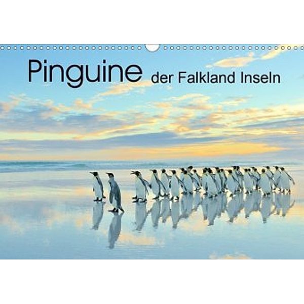 Pinguine der Falkland Inseln (Wandkalender 2020 DIN A3 quer), Elmar Weiss