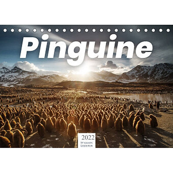 Pinguine - Die sympathischen Frack-Träger (Tischkalender 2022 DIN A5 quer), Benjamin Lederer