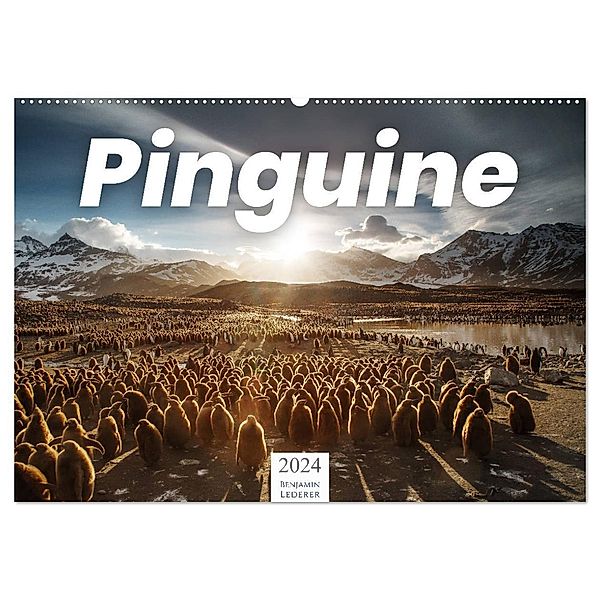 Pinguine - Die sympathischen Frack-Träger (Wandkalender 2024 DIN A2 quer), CALVENDO Monatskalender, Benjamin Lederer