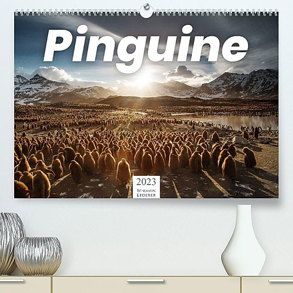 Pinguine - Die sympathischen Frack-Träger (Premium, hochwertiger DIN A2 Wandkalender 2023, Kunstdruck in Hochglanz), Benjamin Lederer