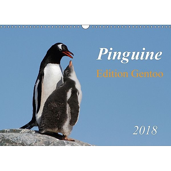 Pinguine - Edition Gentoo (Wandkalender 2018 DIN A3 quer), Brigitte Schlögl
