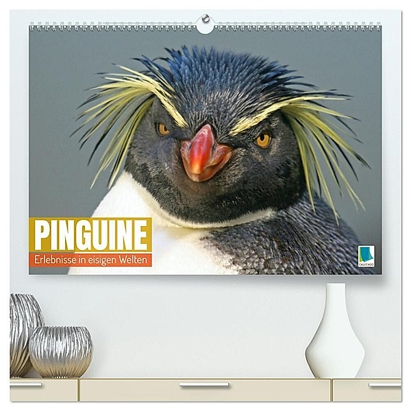 Pinguine: Erlebnisse in eisigen Welten (hochwertiger Premium Wandkalender 2024 DIN A2 quer), Kunstdruck in Hochglanz, Calvendo