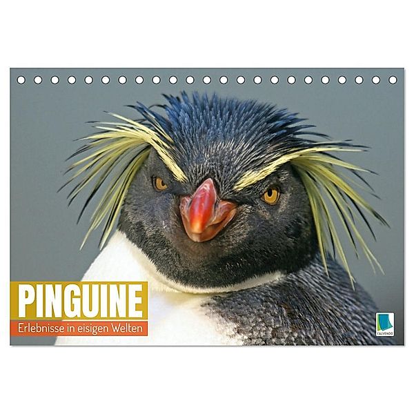 Pinguine: Erlebnisse in eisigen Welten (Tischkalender 2024 DIN A5 quer), CALVENDO Monatskalender, Calvendo