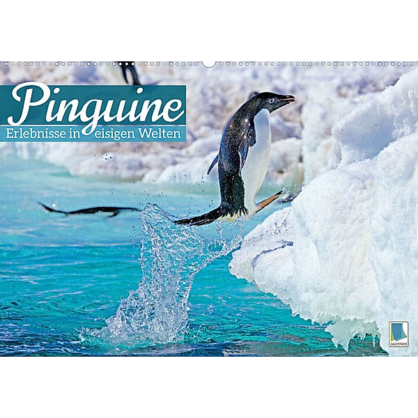 Pinguine: Erlebnisse in eisigen Welten (Wandkalender 2023 DIN A2 quer), Calvendo