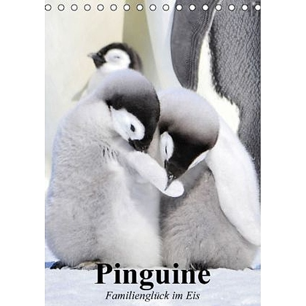 Pinguine. Familienglück im Eis (Tischkalender 2016 DIN A5 hoch), Elisabeth Stanzer