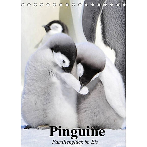 Pinguine. Familienglück im Eis (Tischkalender 2022 DIN A5 hoch), Elisabeth Stanzer