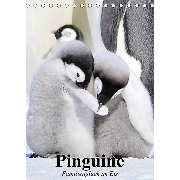 Pinguine. Familienglück im Eis (Tischkalender 2023 DIN A5 hoch), Elisabeth Stanzer