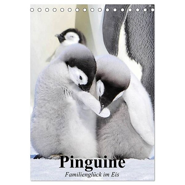 Pinguine. Familienglück im Eis (Tischkalender 2024 DIN A5 hoch), CALVENDO Monatskalender, Elisabeth Stanzer