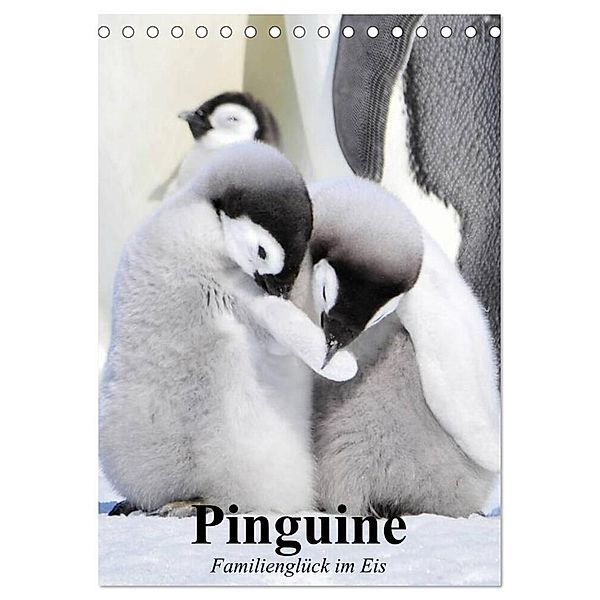 Pinguine. Familienglück im Eis (Tischkalender 2025 DIN A5 hoch), CALVENDO Monatskalender, Calvendo, Elisabeth Stanzer