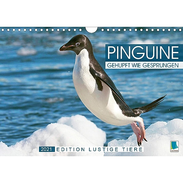 Pinguine: Gehupft wie gesprungen - Edition lustige Tiere (Wandkalender 2021 DIN A4 quer), Calvendo