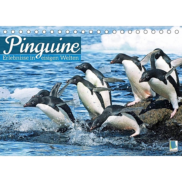 Pinguine: Gehupft wie gesprungen - Edition lustige Tiere (Tischkalender 2022 DIN A5 quer), Calvendo