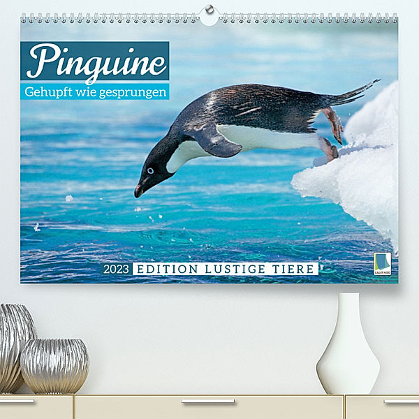 Pinguine: Gehupft wie gesprungen - Edition lustige Tiere (Premium, hochwertiger DIN A2 Wandkalender 2023, Kunstdruck in Hochglanz), Calvendo