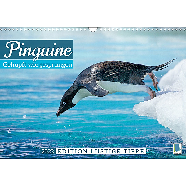 Pinguine: Gehupft wie gesprungen - Edition lustige Tiere (Wandkalender 2023 DIN A3 quer), Calvendo