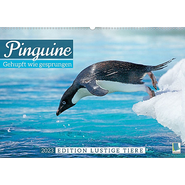 Pinguine: Gehupft wie gesprungen - Edition lustige Tiere (Wandkalender 2023 DIN A2 quer), Calvendo