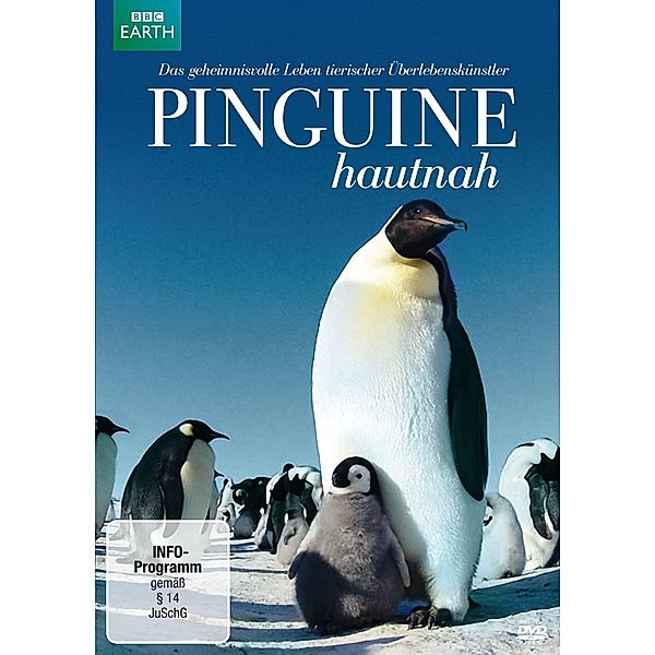 Pinguine hautnah