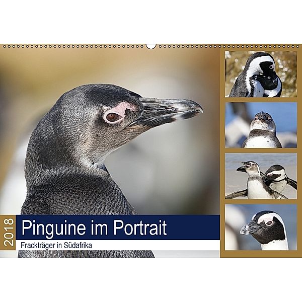 Pinguine im Portrait - Frackträger in Südafrika (Wandkalender 2018 DIN A2 quer), Michael Herzog