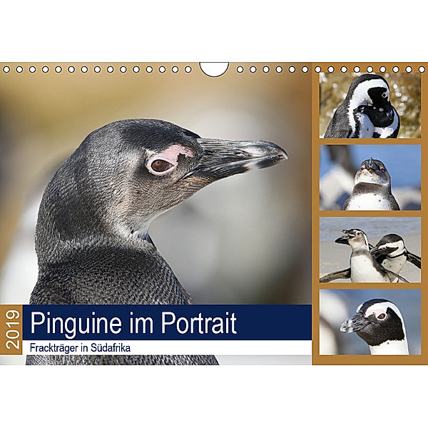 Pinguine im Portrait - Frackträger in Südafrika (Wandkalender 2019 DIN A4 quer), Michael Herzog