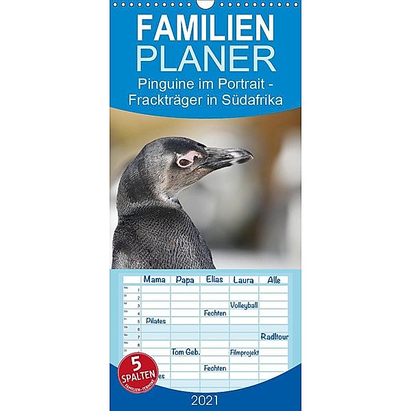 Pinguine im Portrait - Frackträger in Südafrika - Familienplaner hoch (Wandkalender 2021 , 21 cm x 45 cm, hoch), Michael Herzog