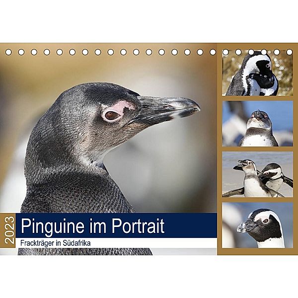 Pinguine im Portrait - Frackträger in Südafrika (Tischkalender 2023 DIN A5 quer), Michael und Yvonne Herzog