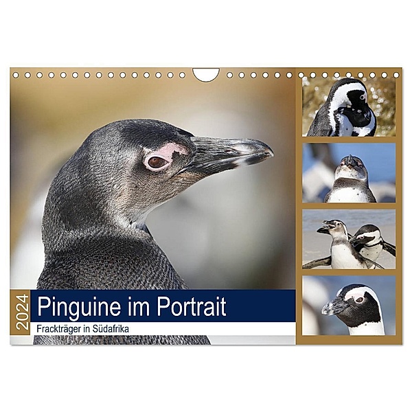 Pinguine im Portrait - Frackträger in Südafrika (Wandkalender 2024 DIN A4 quer), CALVENDO Monatskalender, Michael und Yvonne Herzog