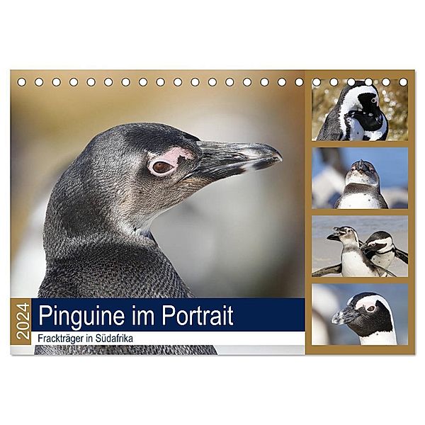 Pinguine im Portrait - Frackträger in Südafrika (Tischkalender 2024 DIN A5 quer), CALVENDO Monatskalender, Michael und Yvonne Herzog