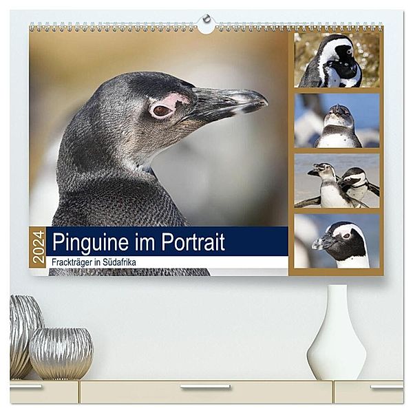 Pinguine im Portrait - Frackträger in Südafrika (hochwertiger Premium Wandkalender 2024 DIN A2 quer), Kunstdruck in Hochglanz, Michael und Yvonne Herzog