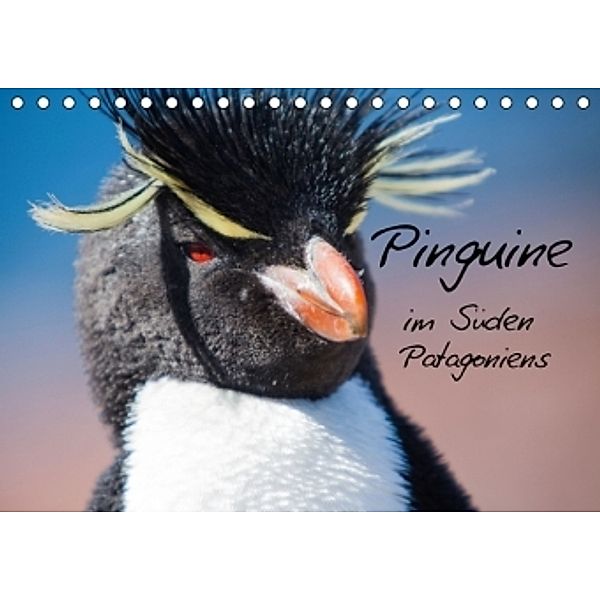 Pinguine im Süden Patagoniens (Tischkalender 2016 DIN A5 quer), Sabine Reuke