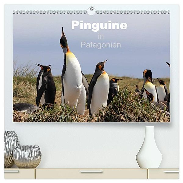 Pinguine in Patagonien (hochwertiger Premium Wandkalender 2024 DIN A2 quer), Kunstdruck in Hochglanz, Clemens Göb, Ute Köhler