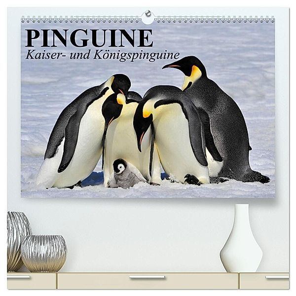 Pinguine - Kaiser- und Königspinguine (hochwertiger Premium Wandkalender 2024 DIN A2 quer), Kunstdruck in Hochglanz, Elisabeth Stanzer