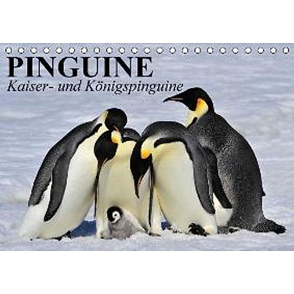 Pinguine - Kaiser- und Königspinguine (Tischkalender 2015 DIN A5 quer), Elisabeth Stanzer