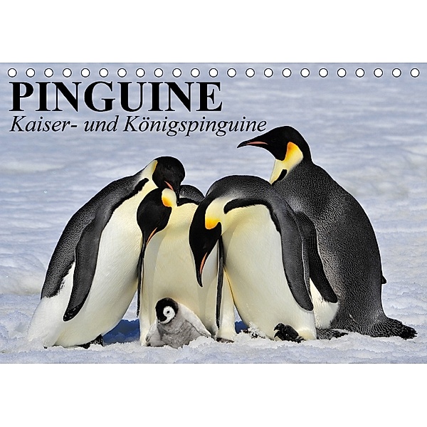 Pinguine - Kaiser- und Königspinguine (Tischkalender 2018 DIN A5 quer), Elisabeth Stanzer